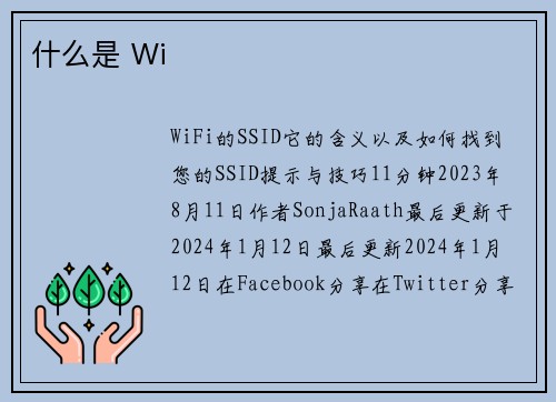 什么是 Wi